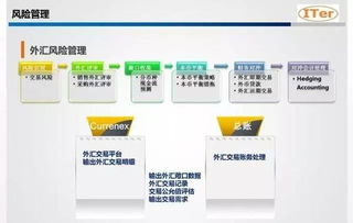 集團資金管理價值趨勢分析及系統(tǒng)選型考量