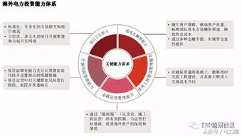 海外電力投資 趨勢(shì)、挑戰(zhàn)與資產(chǎn)管理新思路
